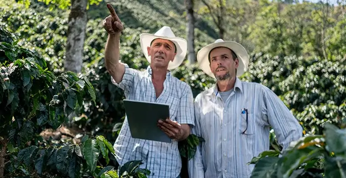 Soluciones de Internet satelital para el campo