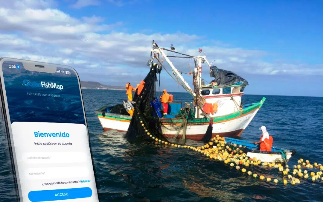 OCEANFISHMAP // INTELIGENCIA ARTIFICIAL EN LA PESCA // UBICACIÓN DE LOS PECES